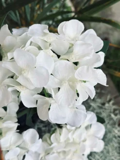 Hortensia med solceller - Hvid