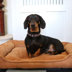 Hundekurv i fløjl 70x52cm