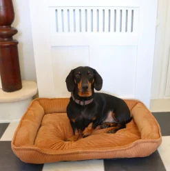 Hundekurv i fløjl 70x52cm