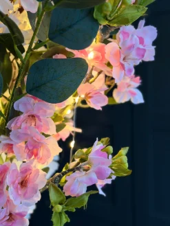Japansk Kirsebærgren med lys - Rosa
