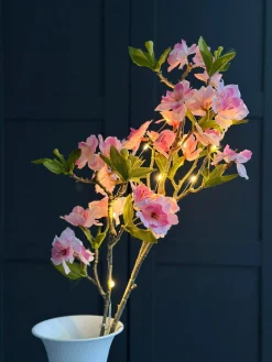 Japansk Kirsebærgren med lys - Rosa