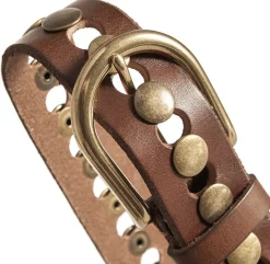 Jeans bælte dekoreret med nitter - Brown