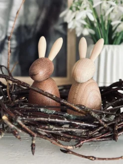 Kanin siddende – Bøg