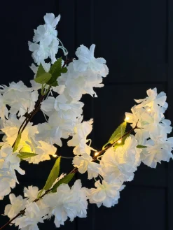 Kirsebærgren med lys - Hvid