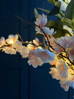 Kirsebærgren med lys - Rosa