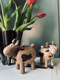 Ko Succitræ - Lille