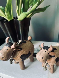 Ko Succitræ - Lille