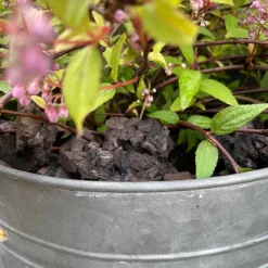 Kork bark til dekoration - Brændt