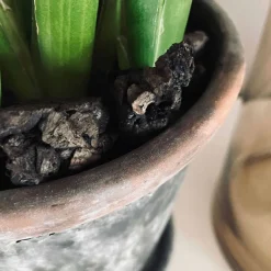 Kork bark til dekoration - Brændt