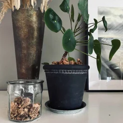 Kork bark til dekoration - Natur