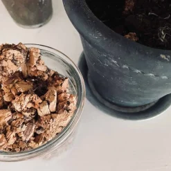 Kork bark til dekoration - Natur