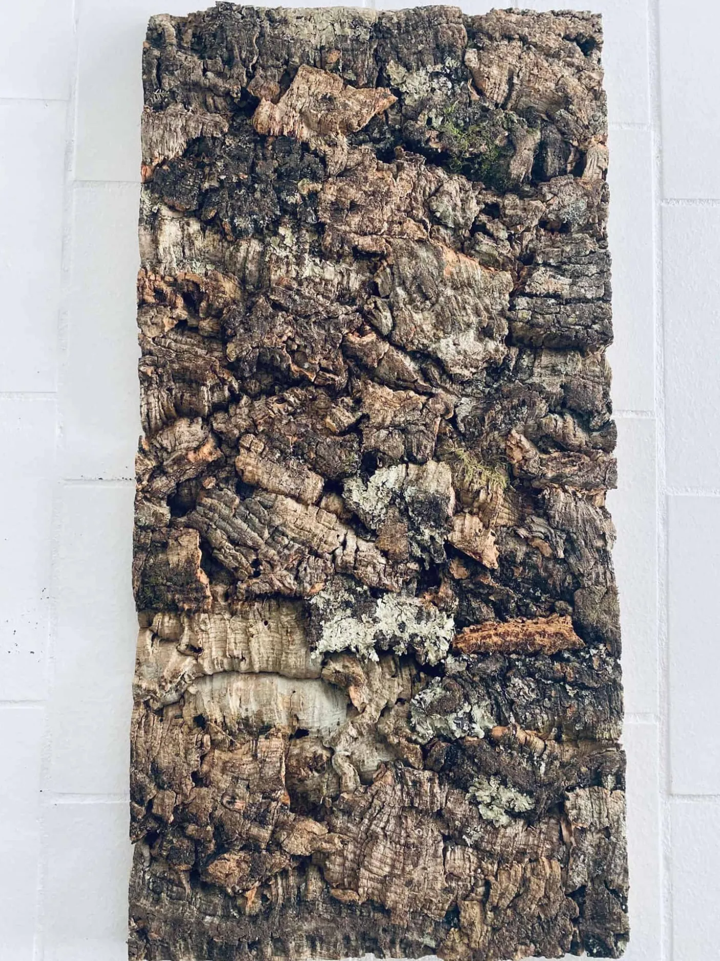 Korkplade deluxe 30×60 – Nature virgin