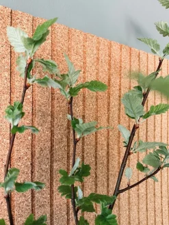 Korkplade Natur m. Panel effekt – Støjdæmpende