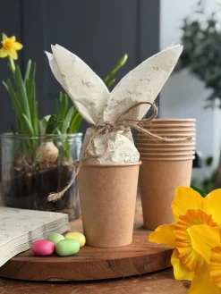 Krus 10 stk.- Pap 250ml