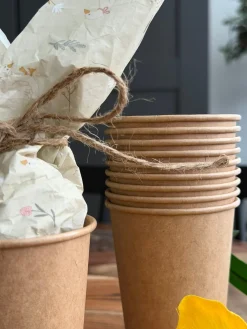 Krus 10 stk.- Pap 250ml