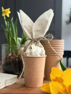 Krus 10 stk.- Pap 250ml