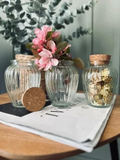 Krydderiglas m. kork 280 ml – pakke med 6 stk