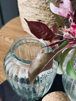 Krydderiglas m. kork 280 ml – pakke med 6 stk