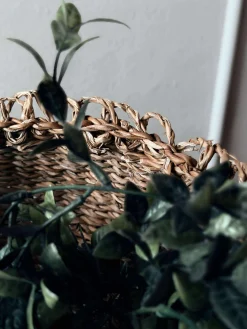 Kurve Ida low - Sæt 3 stk