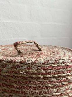 Kurve med låg COLOR - Sæt 3 stk