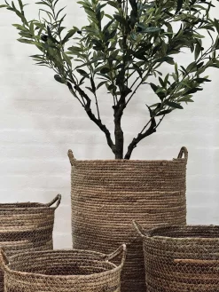 Kurve Natur - Sæt med 4 stk.