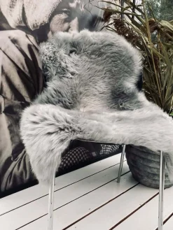 Lammeskind - Lys - Grå fra New Zealand