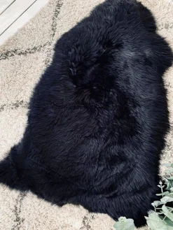 Lammeskind - Sort fra New Zealand