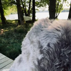 Lammeskind i flot mocca farve