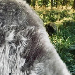 Lammeskind i flot mocca farve