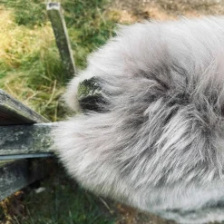 Lammeskind i flot mocca farve