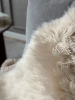 Lammeskind Linen - 85x55cm