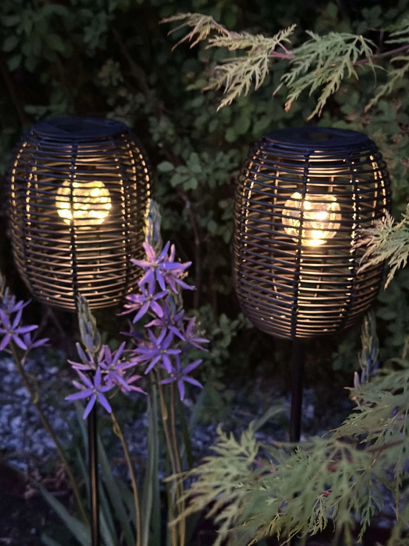 Lanterne på spyd Black - Solar