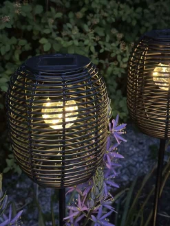 Lanterne på spyd Black - Solar