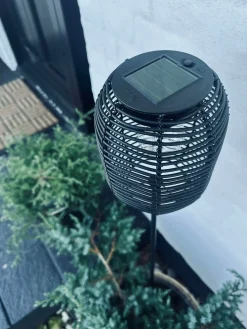Lanterne på spyd Black - Solar