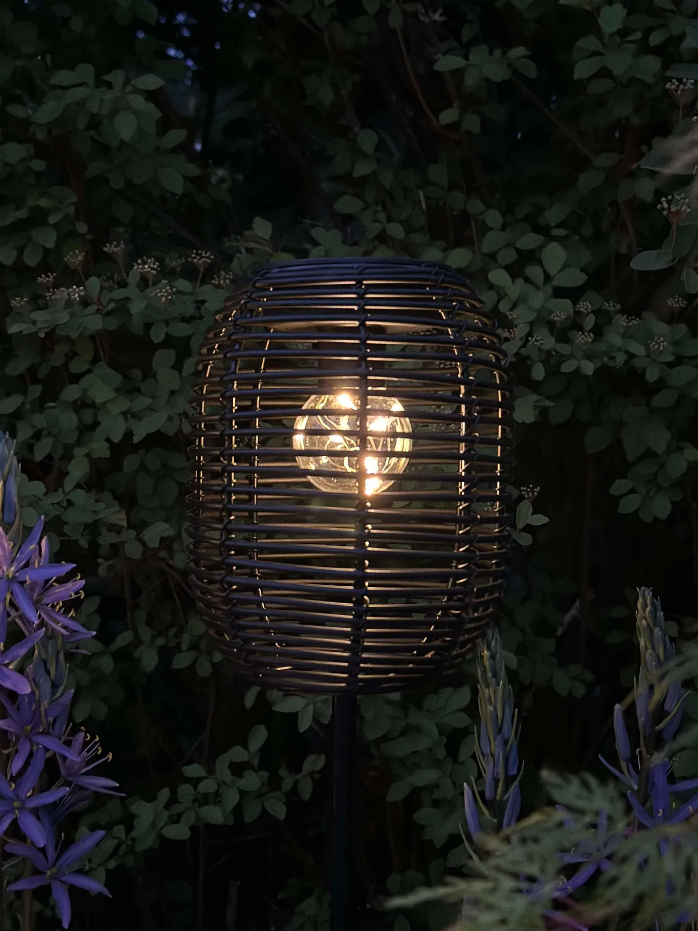 Lanterne på spyd Black - Solar