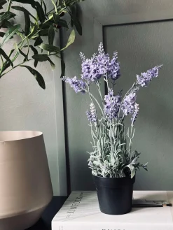 Lavendel 40cm - Lys lilla