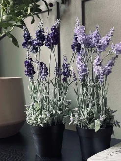 Lavendel 40cm - Lys lilla