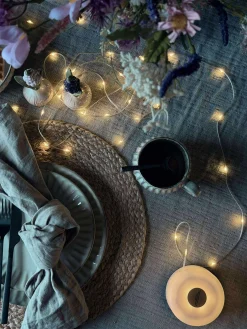 Led lys til inde og ude