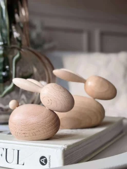 Liggende Kanin - Natur Stor