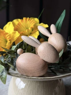 Liggende Kanin - Natur Stor