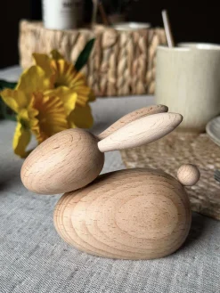 Liggende Kanin - Natur Stor