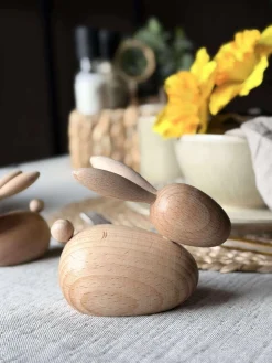 Liggende Kanin - Natur Stor