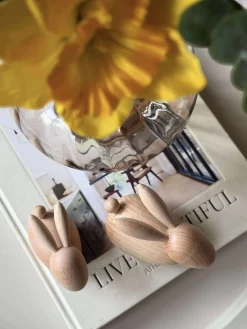 Liggende Kanin - Natur Stor