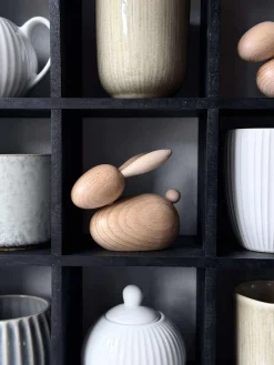 Liggende Kanin - Natur Stor