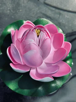 Lotus - Flere farver