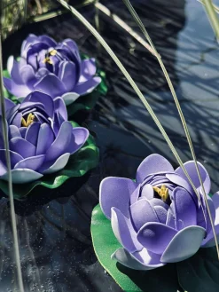 Lotus - Flere farver