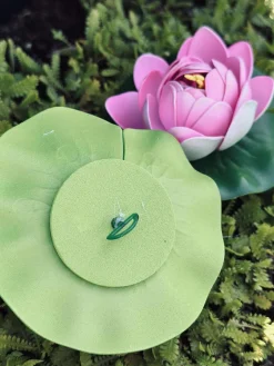 Lotus - Flere farver