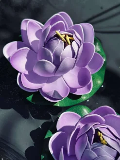 Lotus - Flere farver