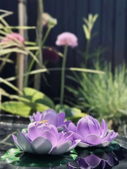 Lotus - Flere farver