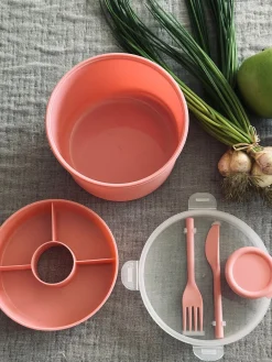 Lunchbox m. dressing kop - Rosa